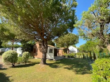 Mietunterkunft - Chalet Evasion - Camping La Boulinière