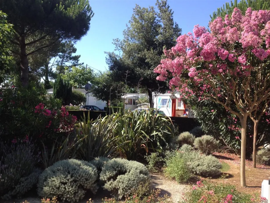 Camping La Boulinière