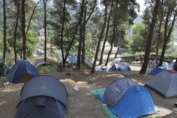 Kampeerplaats(en) - Standplaats Gemiddeld Tent/Grote Tent - Parco Vacanze Il Frantoio