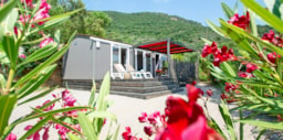 Mietunterkunft - Mobilheim Evasion Prestige  - 33M² - 2 Schlafzimmer + Terrasse + Spa - Camping Cros de Mouton