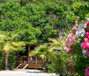 Mietunterkunft - Cottage Nature - 40M² - 3 Schlafzimmer - New 2023 - Prestige - Camping Cros de Mouton