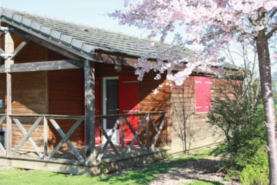 Chalet 35m² with sheltered terrace (2 Bedrooms)