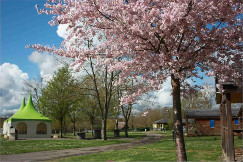 Chalet 35M² Avec Terrasse Couverte (2 Chambres)