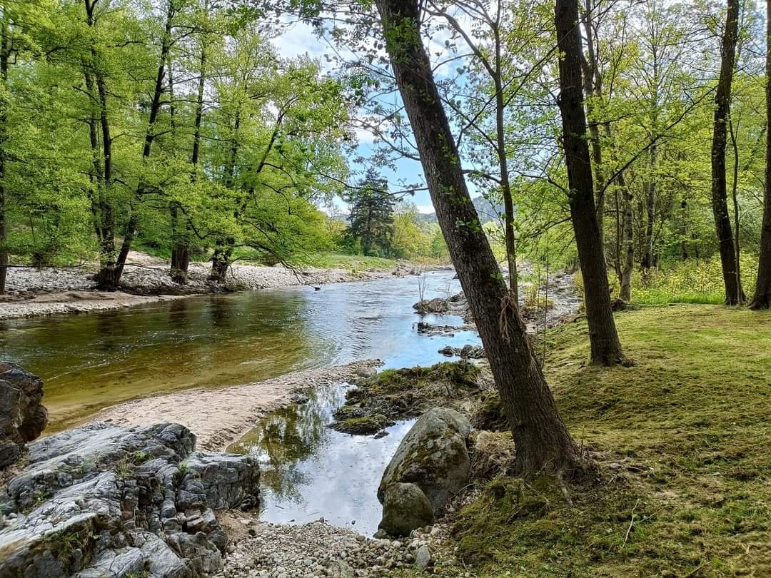 Camping de la Vallée du Doux — Photo 6