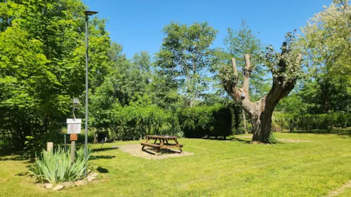 Pitch - Package: Pitch + Car + Tent Or Caravan - image n°1 - Camping de la Vallée du Doux
