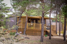 Location - Mobil Home Ciela Prestige-3 Chambres Dont 1 Suite Parentale - Draps, Serviettes Et Barbecue Inclus - Camping La Farigoulette