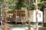 Casa Mobile Pavoncella Ven/Ven Casa Mobile Pavoncella Ven/Ven