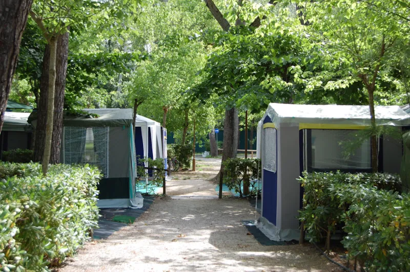 Emplacement 2 Adultes,1 Tente,1 Caravane Ou 1 Camping-Car + 1 Véhicule+ Électricité Max 5 A < 6.5M