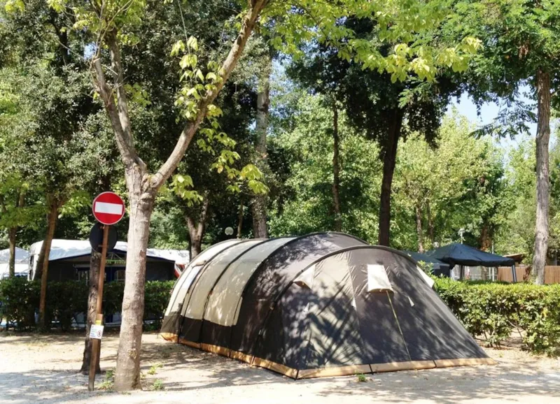 Emplacement 2 Adultes,1 Tente,1 Caravane Ou 1 Camping-Car + 1 Véhicule+ Électricité Max 5 A < 6.5M