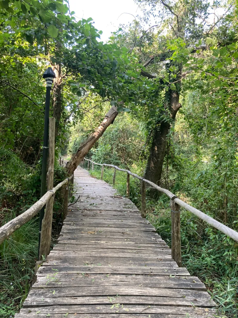 Mobilhome Pavoncella Ven/Ven