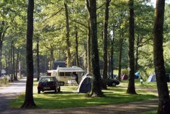 Kampeerplaats(en) - Basisprijs Natuurplaats (1 Tent, Caravan Of Camper / 1 Auto) - Camping Seasonova La Forêt