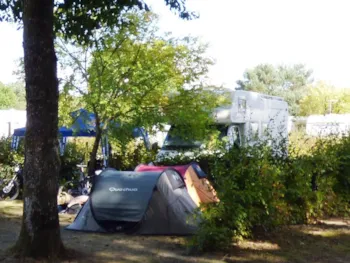 Kampeerplaats(en) - Standplaats Pakketprijs Wandelaar Per Voet Of Per Fiets Met Tent - Camping Seasonova La Forêt