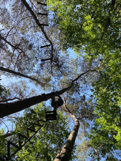 Camping Seasonova La Forêt