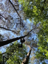 Foto #8 van Camping Seasonova La Forêt