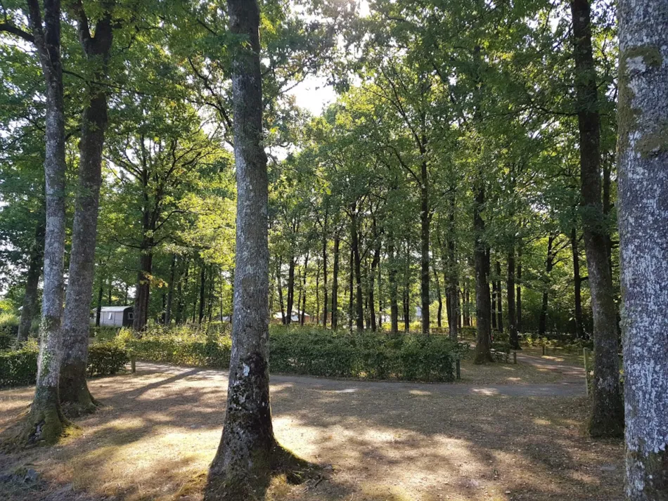 Camping Seasonova La Forêt