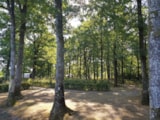 Foto #7 van Camping Seasonova La Forêt