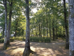 Camping Seasonova La Forêt - image n°7 - Roulottes