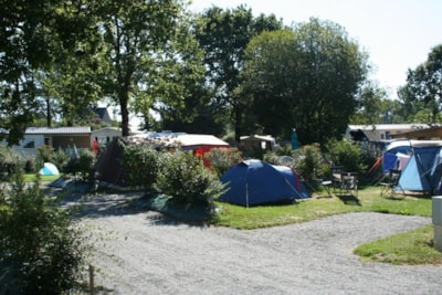 Pitch + 1 vehicle/CAMPER — 4