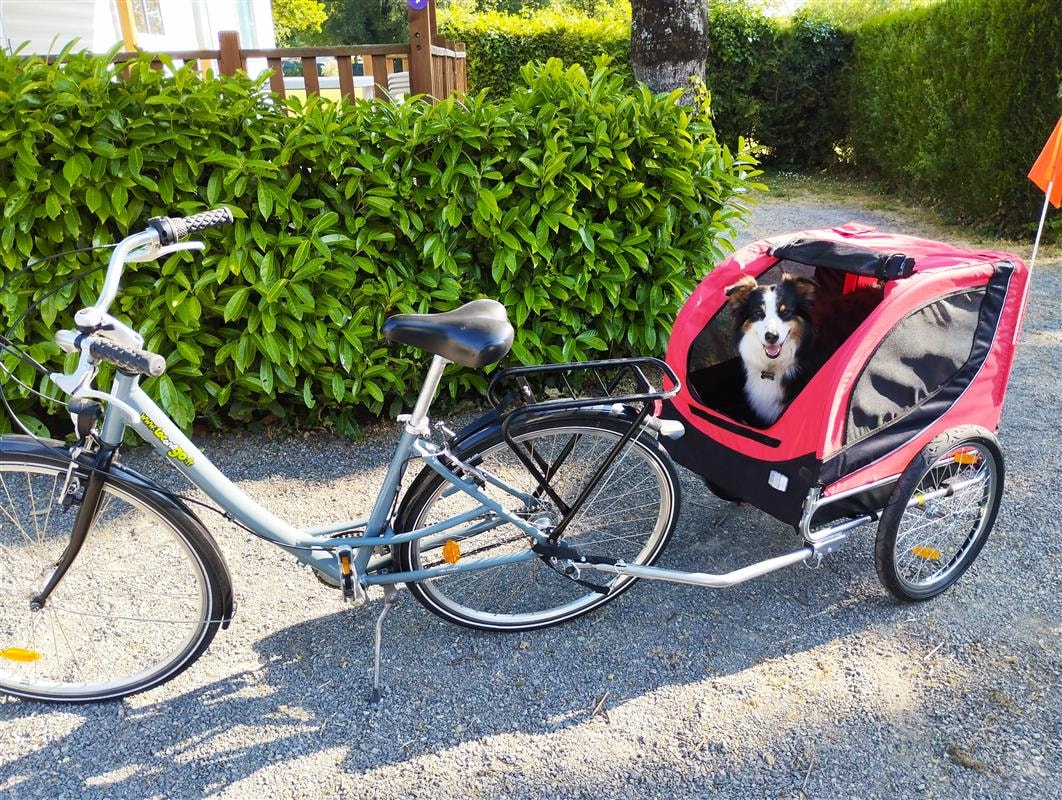 Camping Les Embruns — Foto 5