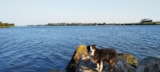 Foto #9 van Camping Les Embruns