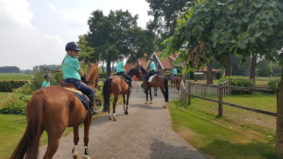 Camping de Rammelbeek