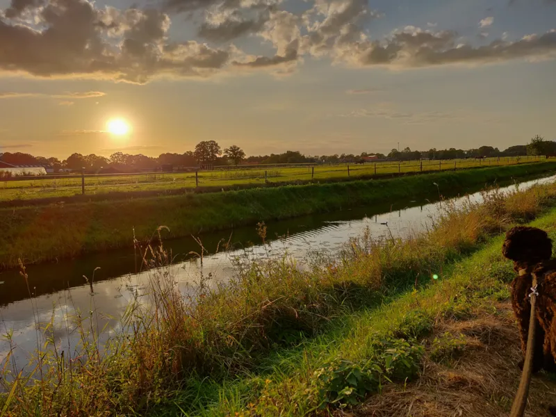 Mobil-Home 2 Chambres