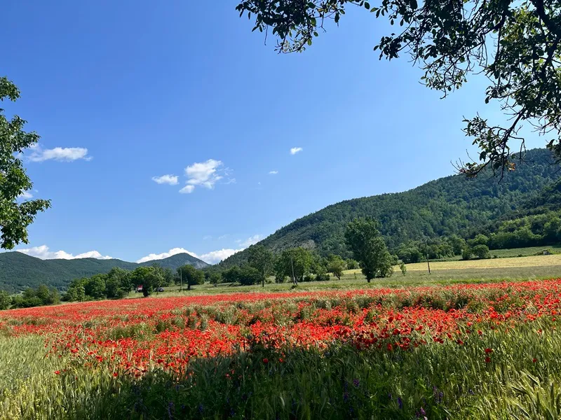 Camping La Pierre de l'Aigle