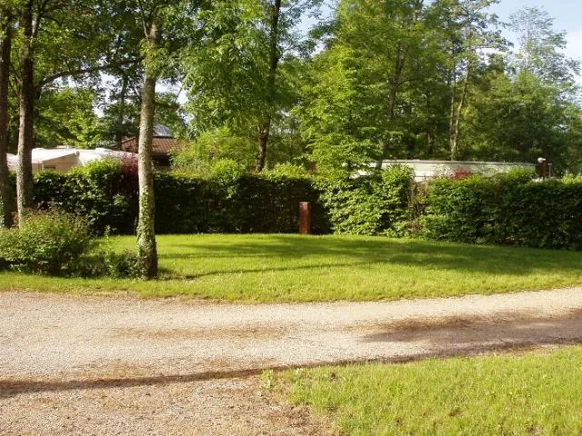 Forfait Confort (Avec Électricité)