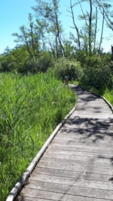 Foto #77 van Camping Le Colombier