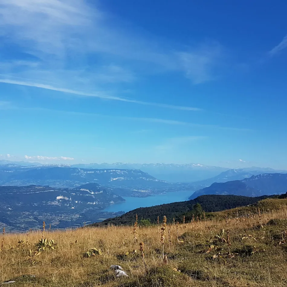 Camping Le Colombier