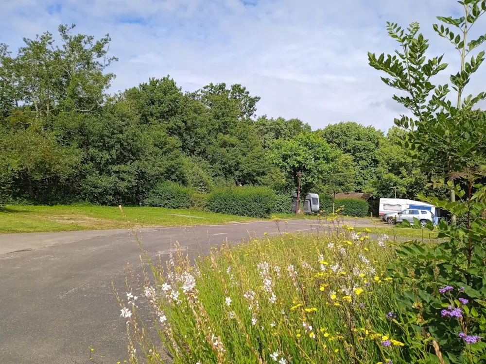 Camping Le Vieux Moulin - image n°3 - Ain