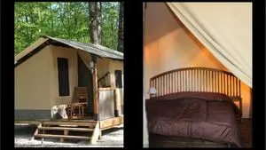 Locatif - LODGE - Camping Municipal La Grange du Pin