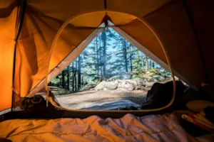 Emplacement - Stellplatz für Zelt und Wohnwagen – 100 m² - Camping L'AINcontournable