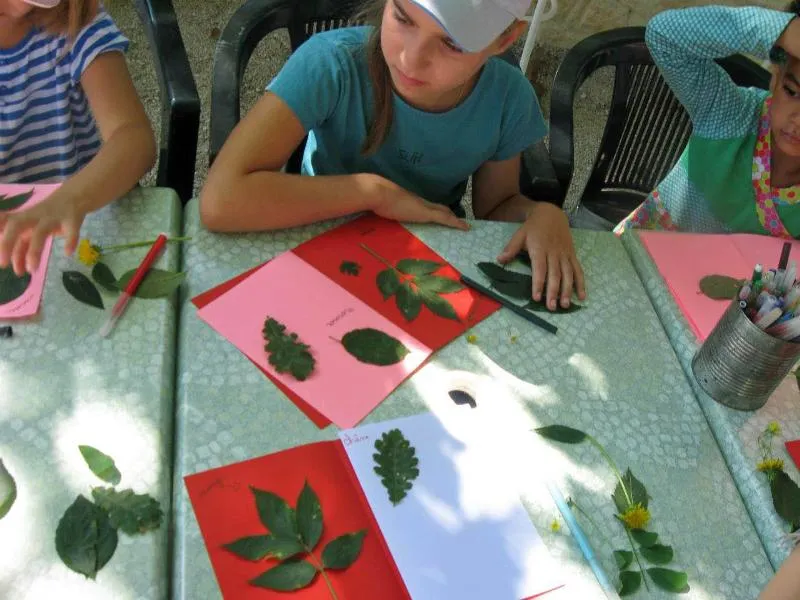 Le Moulin Sites et Paysages