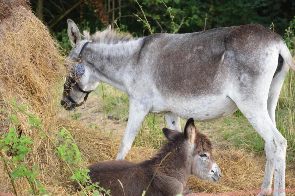 Le Moulin Sites et Paysages
