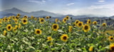 Foto #94 van Le Moulin Sites et Paysages