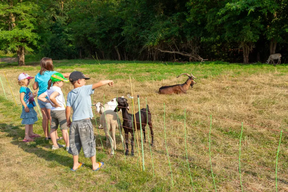 Le Moulin Sites et Paysages