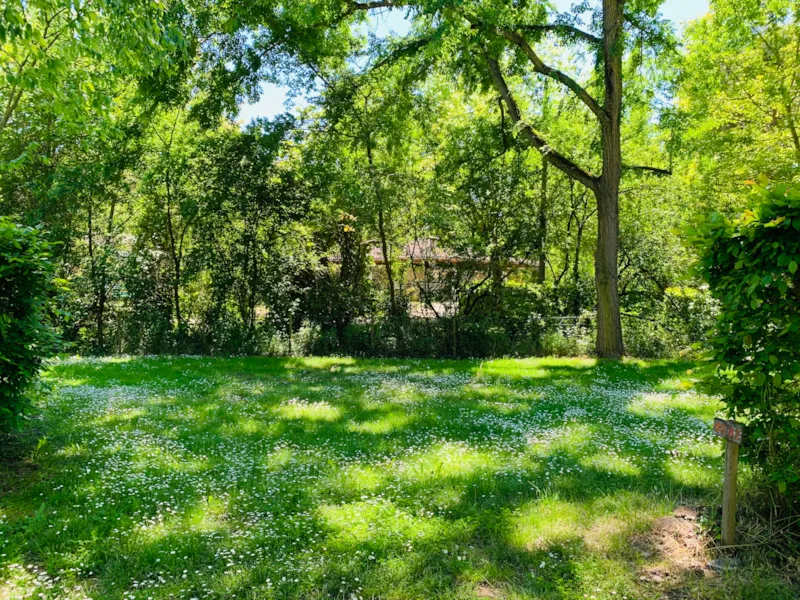 Emplacement Privilège De Taille Xxl Avec Électricité 10A