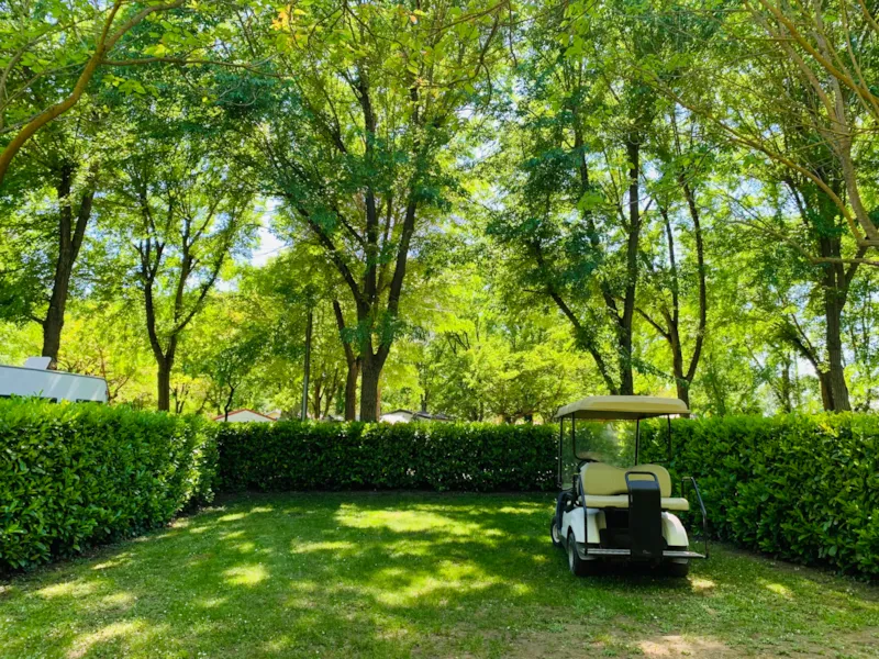 Emplacement Privilège De Taille Xl Avec Électricité 10A