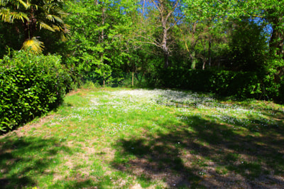 Bike / walk camping pitch - 1 person riding bike or walking