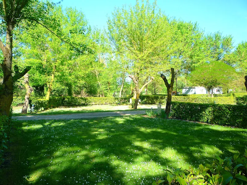 Emplacement Nature (Sans Électricité) De Taille Standard