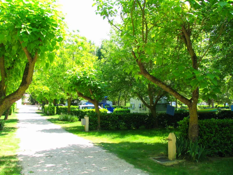 Emplacement Confort De Taille Standard Avec Électricité 10A 2 Pers.