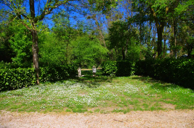 Emplacement Confort De Taille Standard Avec Électricité 6A