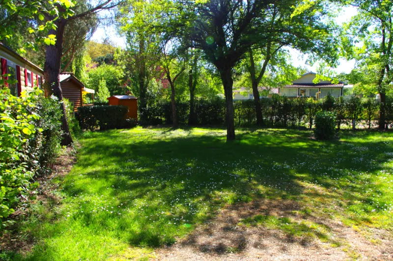 Emplacement Privilège De Taille Xxl Avec Électricité 10A