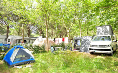 Platinum Pitch: caravan or camping-car + water and drainage point + 10A electricity — 8