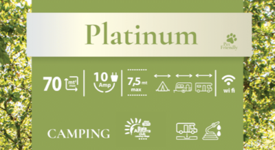 Platinum Pitch: caravan or camping-car + water and drainage point + 10A electricity — 1
