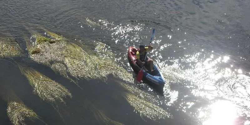 Clico Chic - Camping Lac de Miel