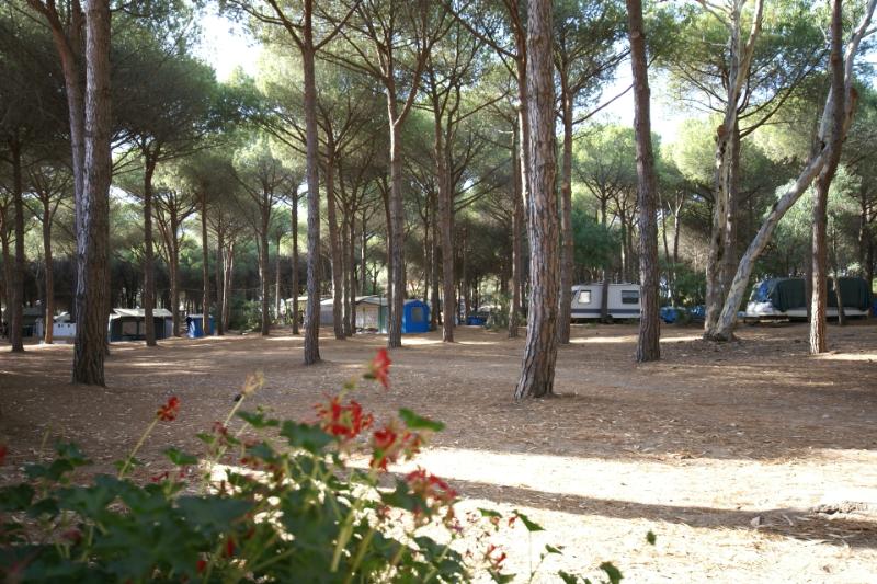 Emplacement - Emplacement : Voiture + Tente/Caravane Ou Camping-Car + Électricité 6A - Camping Bella Sardinia