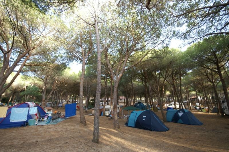 Camping Bella Sardinia photo 3