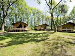 Location - Summer Lodge - Vakantiepark Beerze Bulten